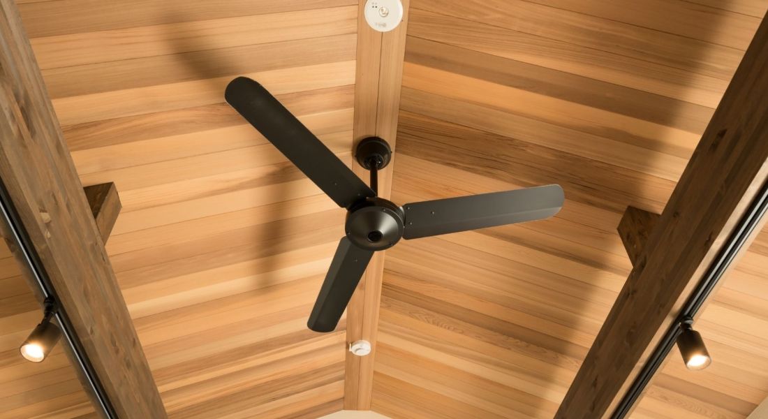 Ceiling fan